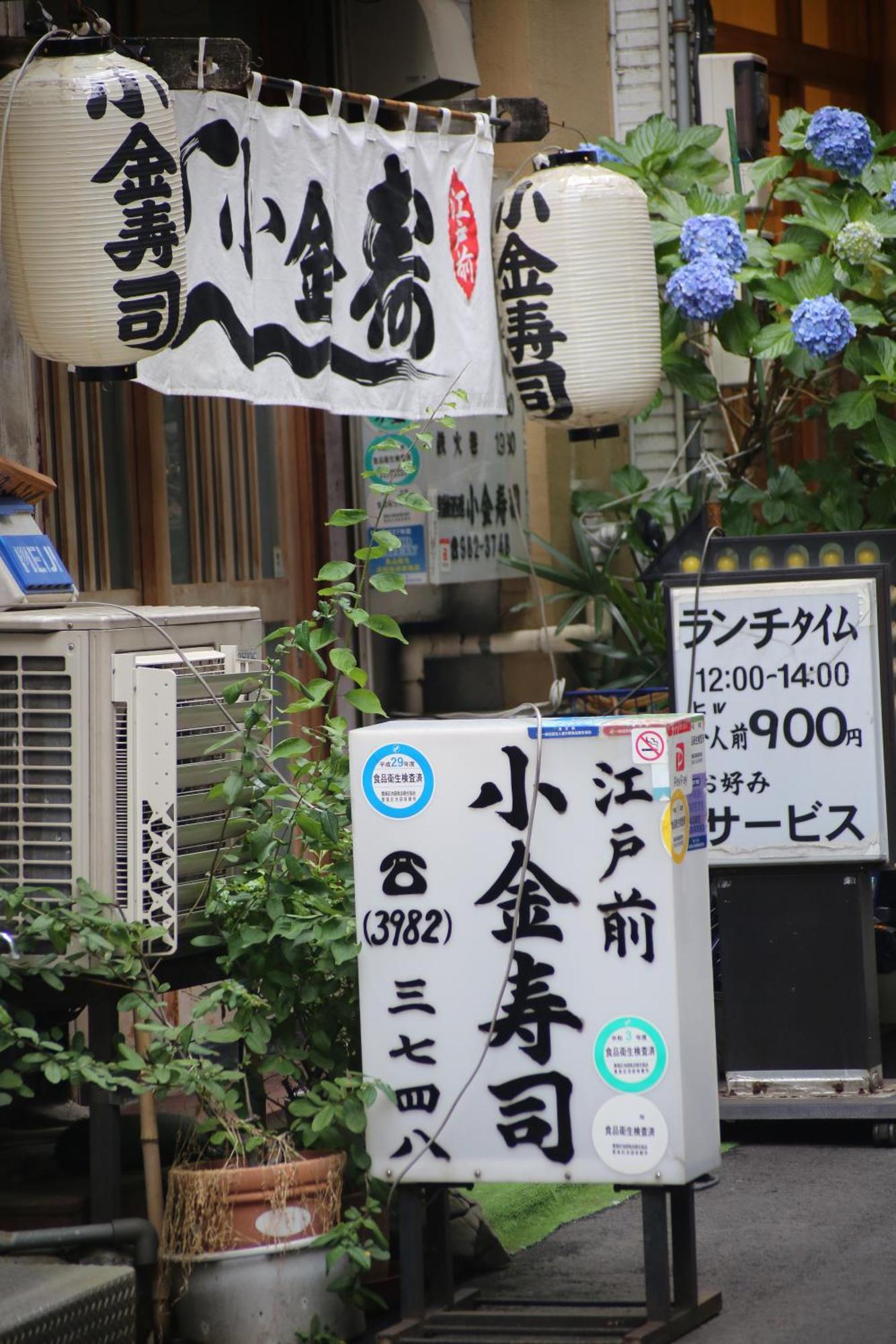 Apartment Sora House